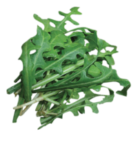 Giỏ hàng