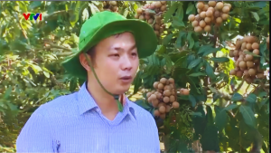 Trần Minh Đức Phó Giám đốc VinAgri tại vườn nhãn lồng Hưng Yên – người đầu tiên tạo ra và đặt tên cho đặc sản long nhãn ôm sen