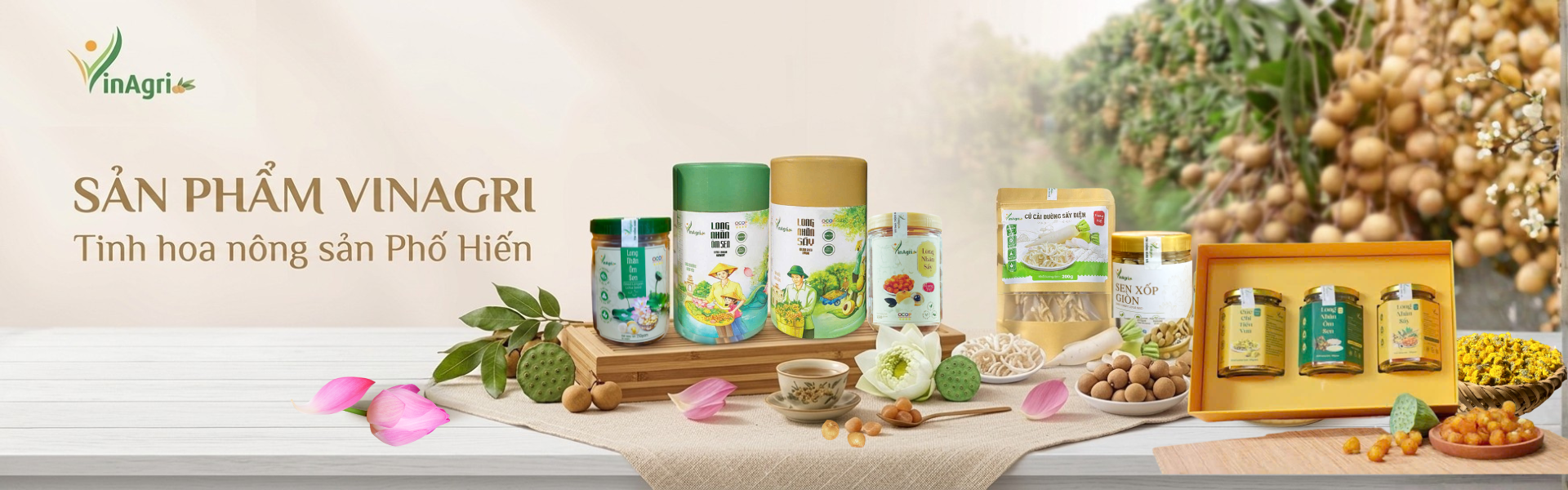 Banner sản phẩm VinAgri với long nhãn ôm sen, long nhãn, sen sấy, cúc chi và đặc sản Phố Hiến