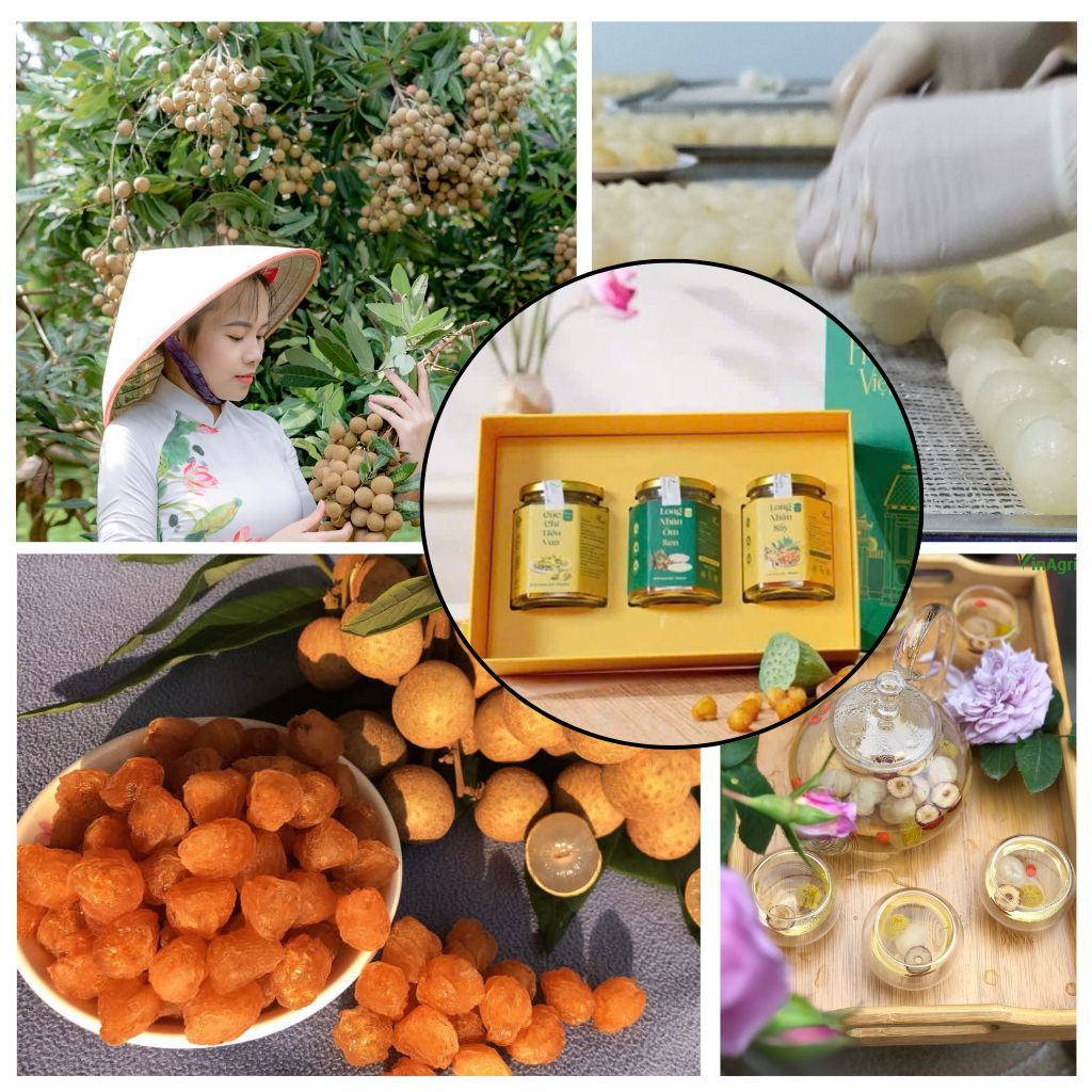 Nông sản việt Vinagri